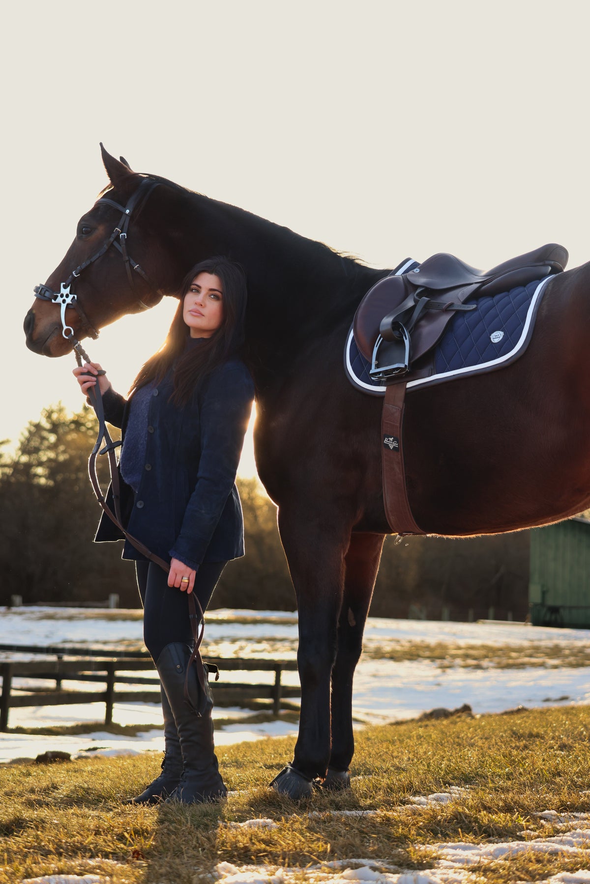 Jump Saddle Pad | Navy
