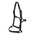 Huntley Equestrian Fancy Stitched Adjustable Premium Leather Pony Halter with Brass Hardware
