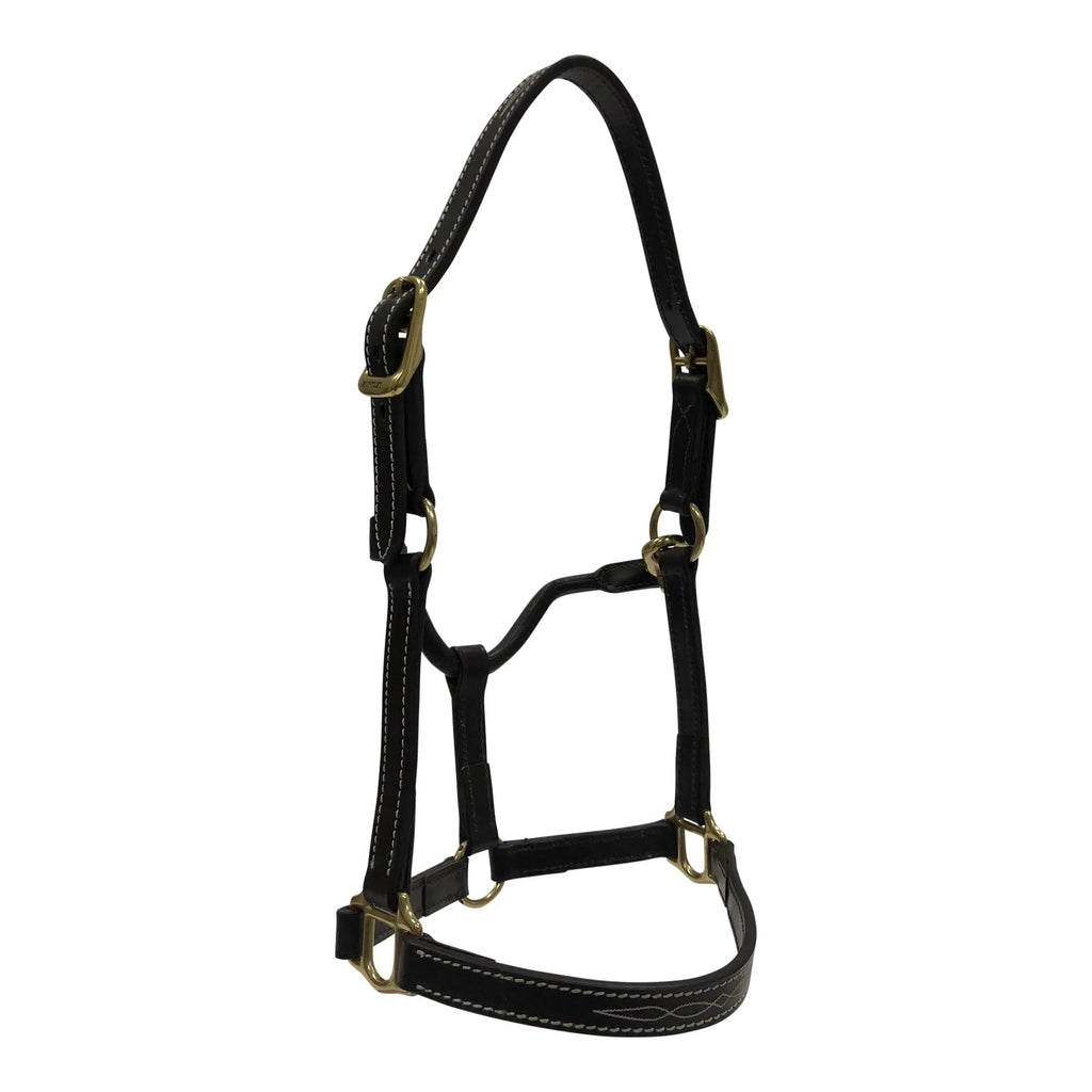 Huntley Equestrian Fancy Stitched Adjustable Premium Leather Pony Halter with Brass Hardware