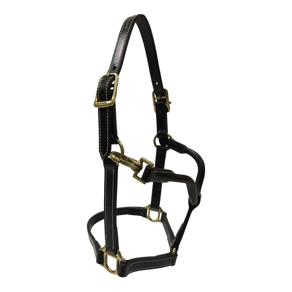 Huntley Equestrian Fancy Stitched Adjustable Premium Leather Pony Halter with Brass Hardware