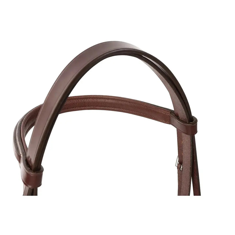 Huntley Equestrian Fancy Stitched Sedgwick Leather Padded Bridle with Reins