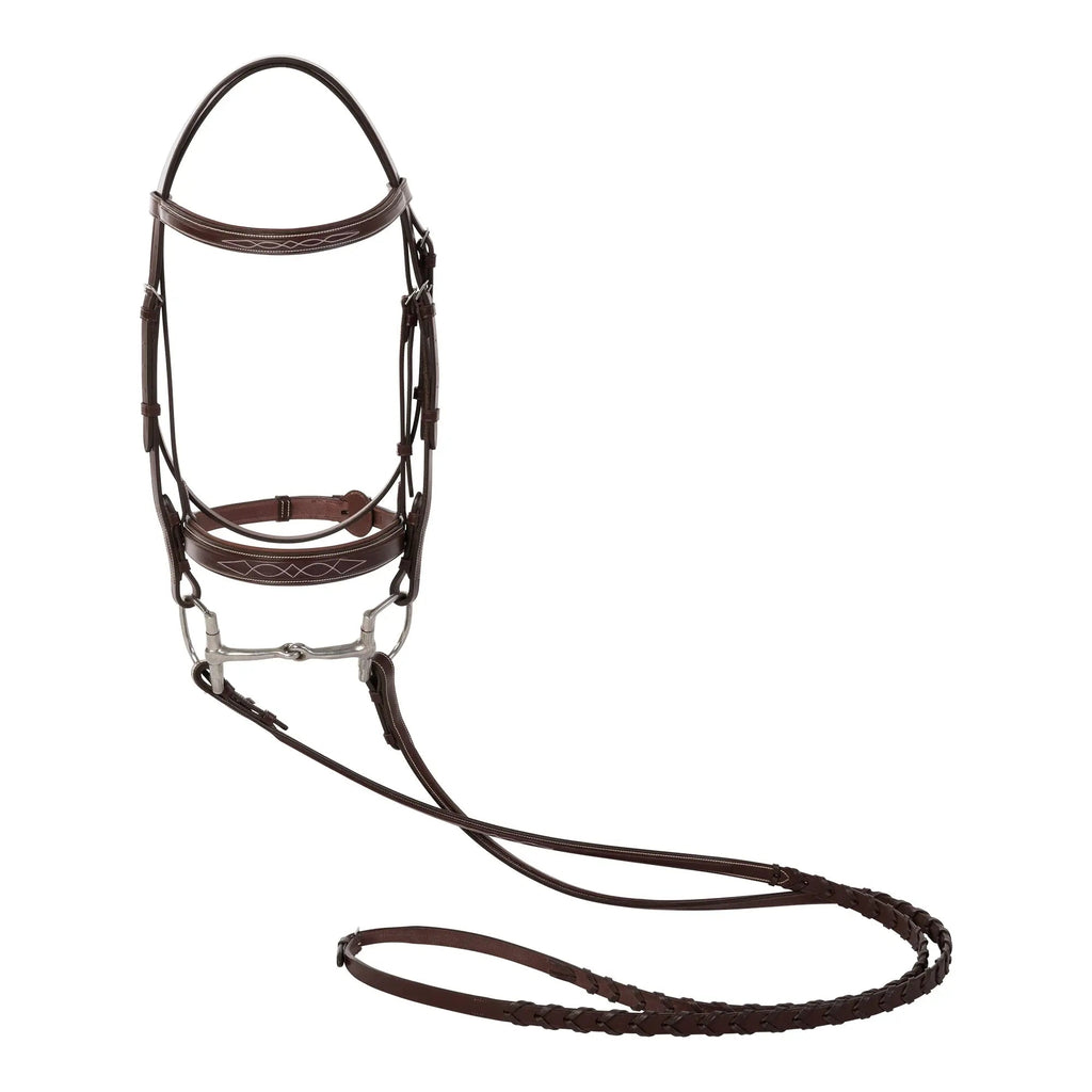 Huntley Equestrian Fancy Stitched Sedgwick Leather Padded Bridle with Reins