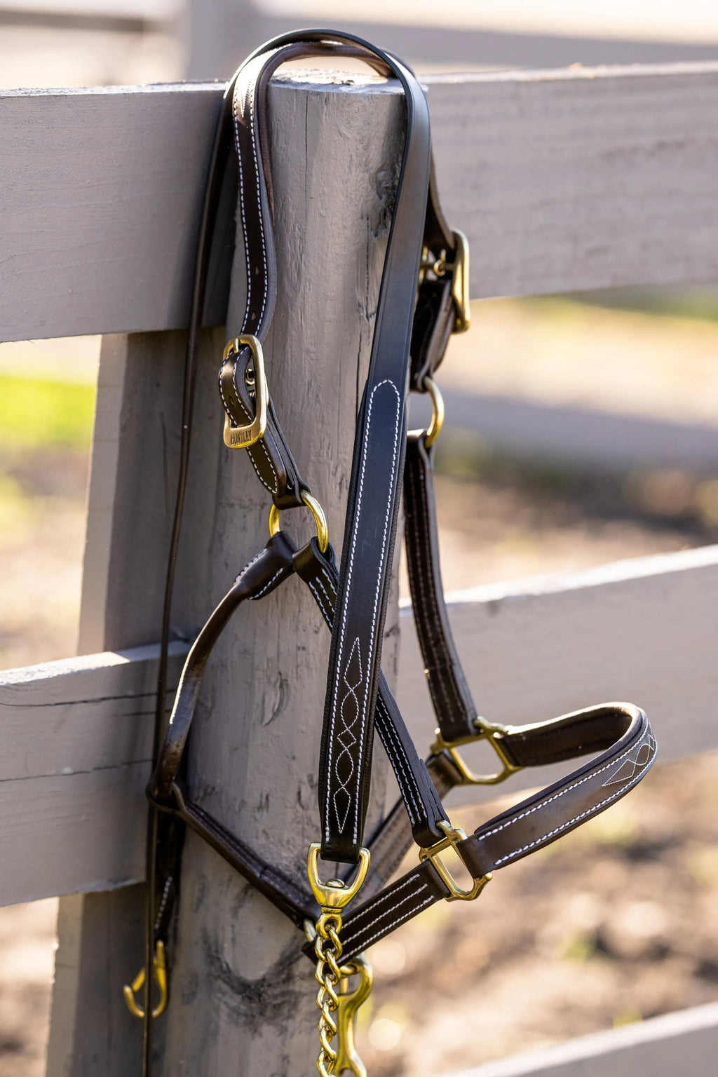 Huntley Equestrian Leather Lead with Brass Chain