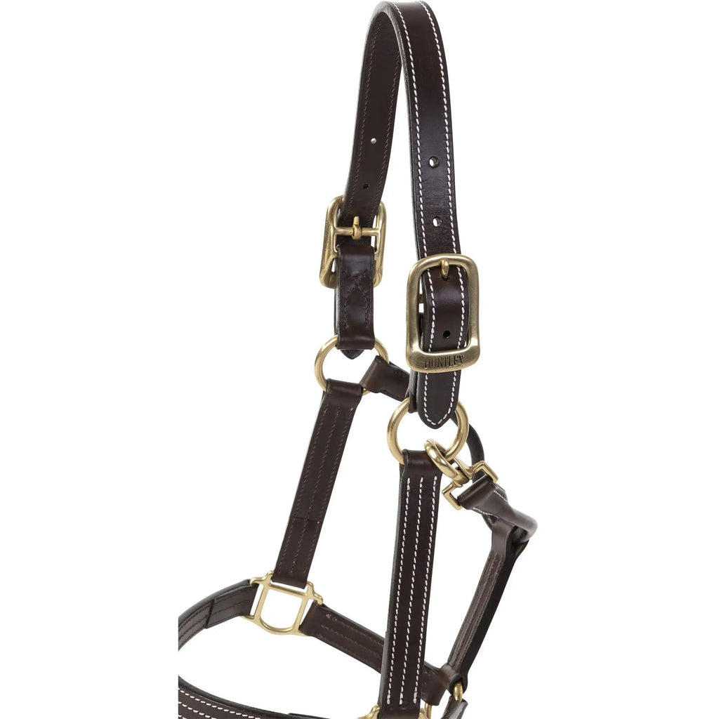 Huntley Equestrian Premium Leather Triple Stitched Halter with Snap