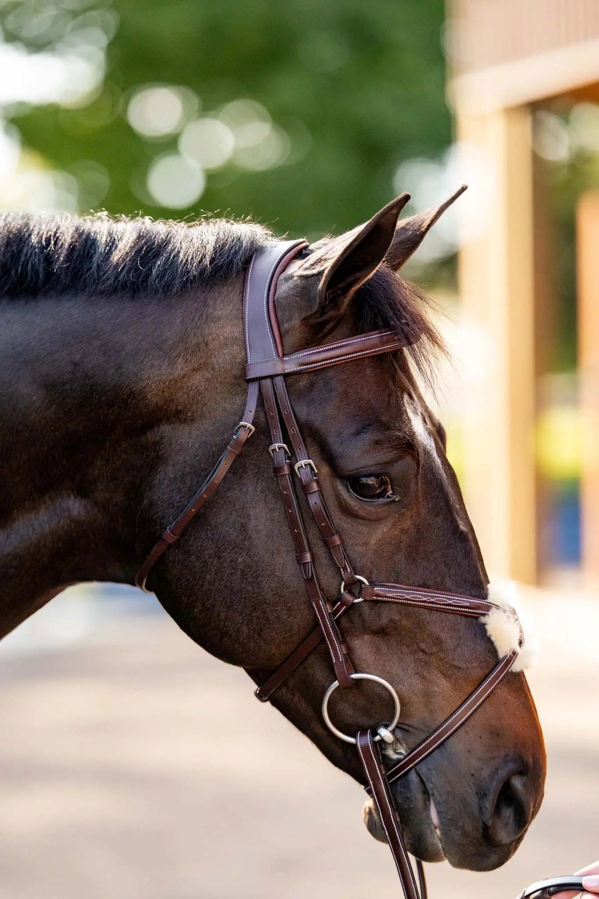 Huntley Equestrian Sedgwick Leather Padded Monocrown Figure 8 Bridle
