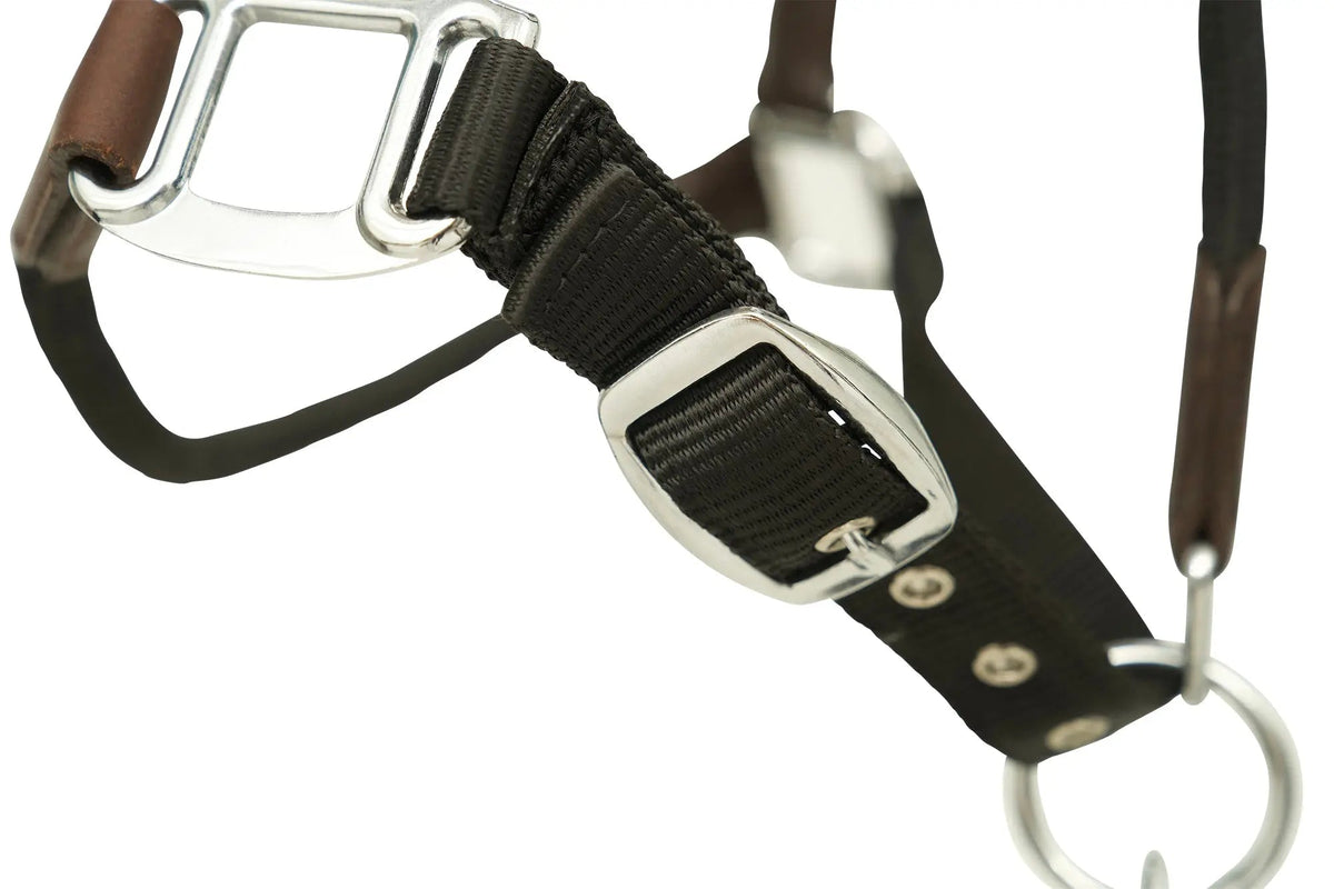 Huntley Nylon Halter and Removable Lead with Snap, Black
