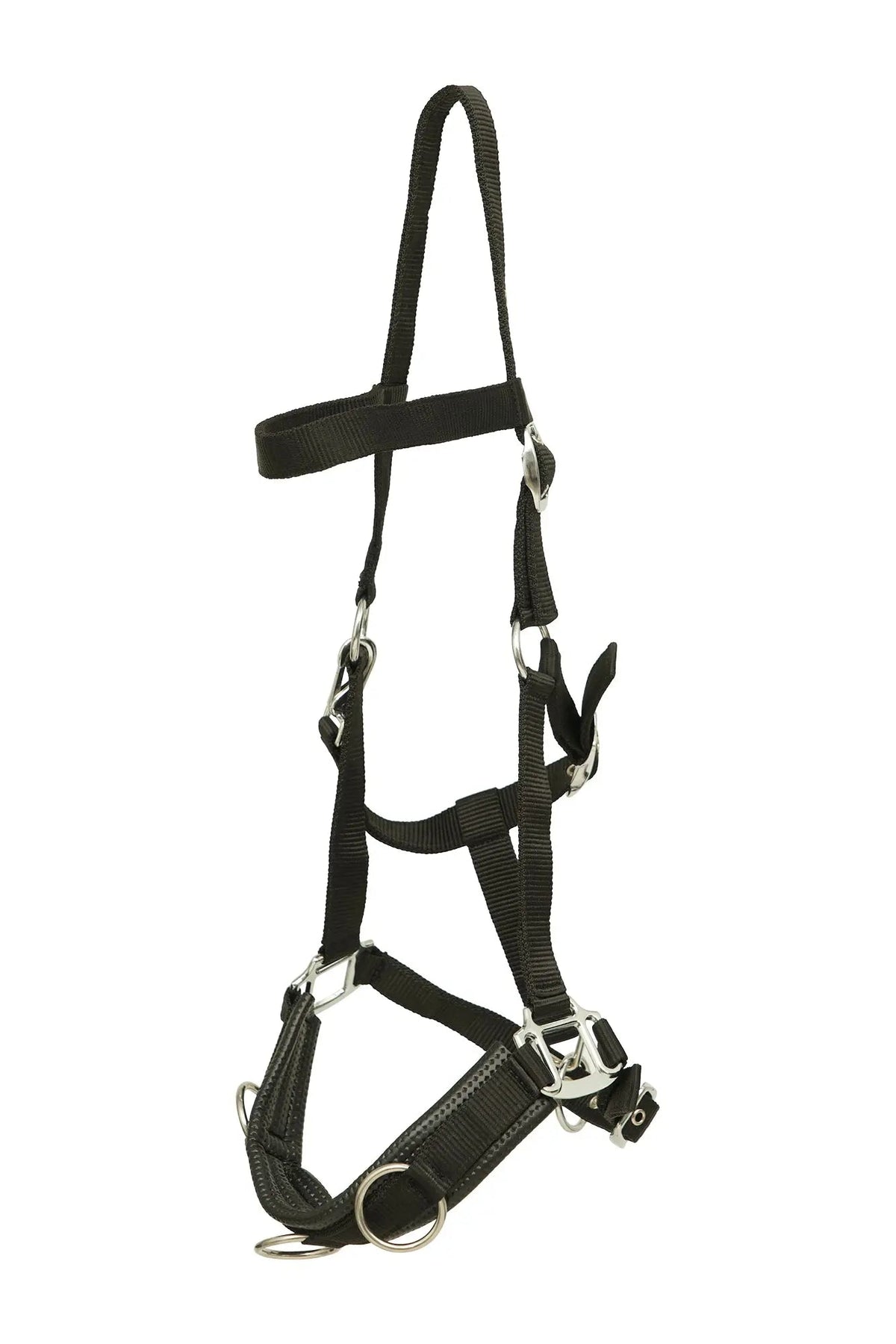 Huntley Nylon Padded Lunging Caveson, Black