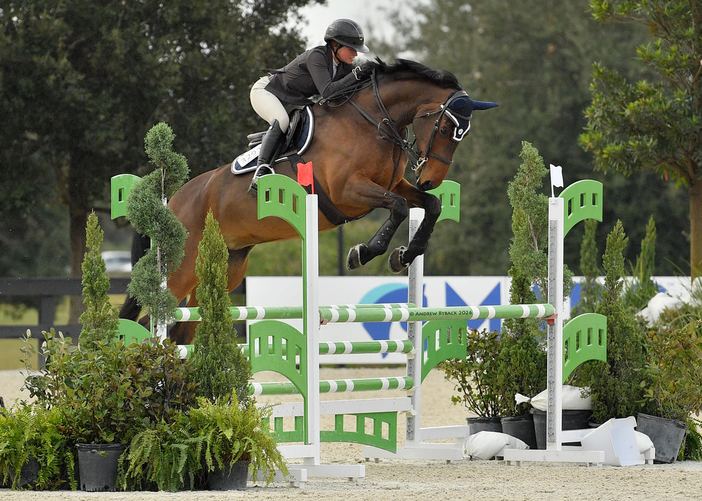 Jump Saddle Pad | Navy
