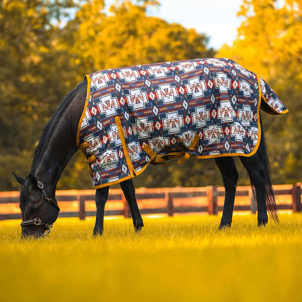 Jeffers Expression 1200 Denier Standard Neck Turnout Horse Blanket, 240 Gram