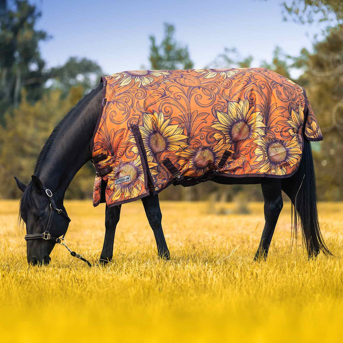 Jeffers Expression 1200 Denier Standard Neck Turnout Horse Blanket, 240 Gram