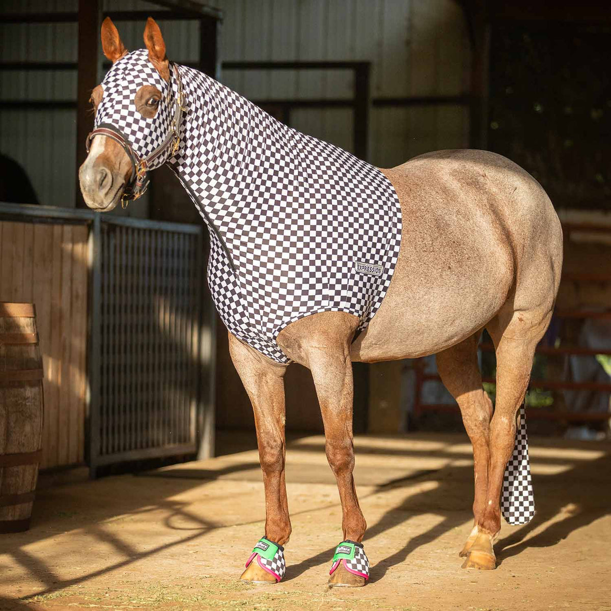 Jeffers Expression Lycra Hood for Horses