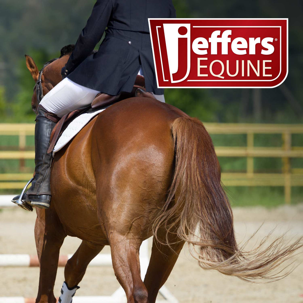 Jeffers Padded Nylon Horse Halter with Throat Snap