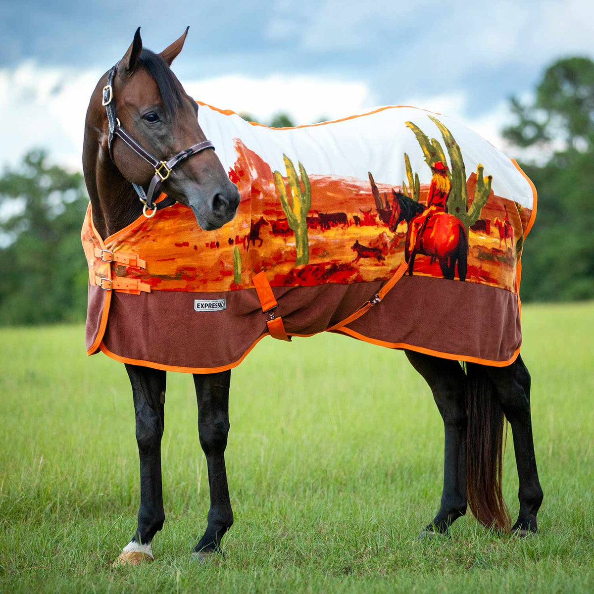 Jeffers Expression Standard Neck Fleece Horse Cooler