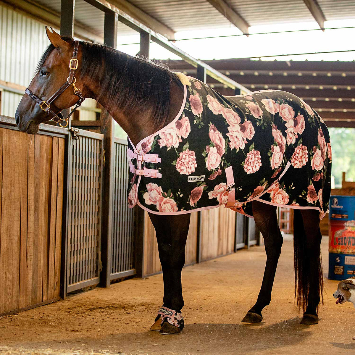 Jeffers Expression Standard Neck Fleece Horse Cooler