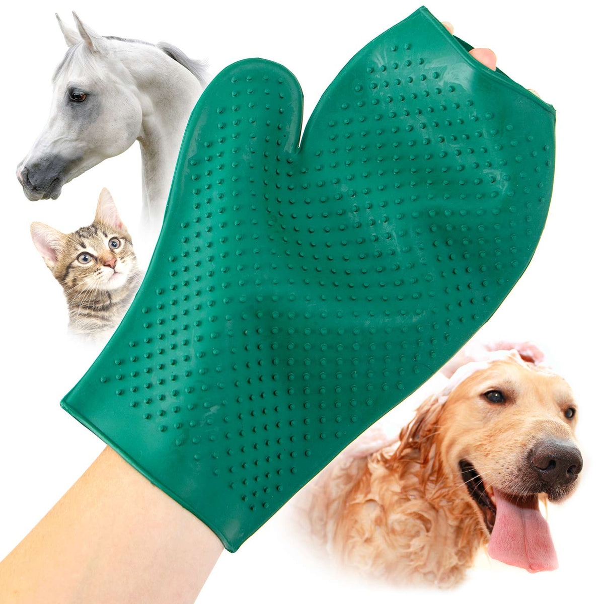 Jeffers GROOMIT - Rubber Grooming Glove for Animals