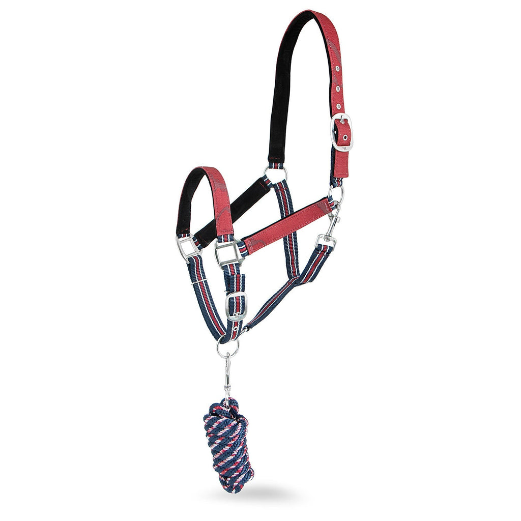 Jeffers Matching Horse Halter & Lead Rope 2 Piece Set, Full Size