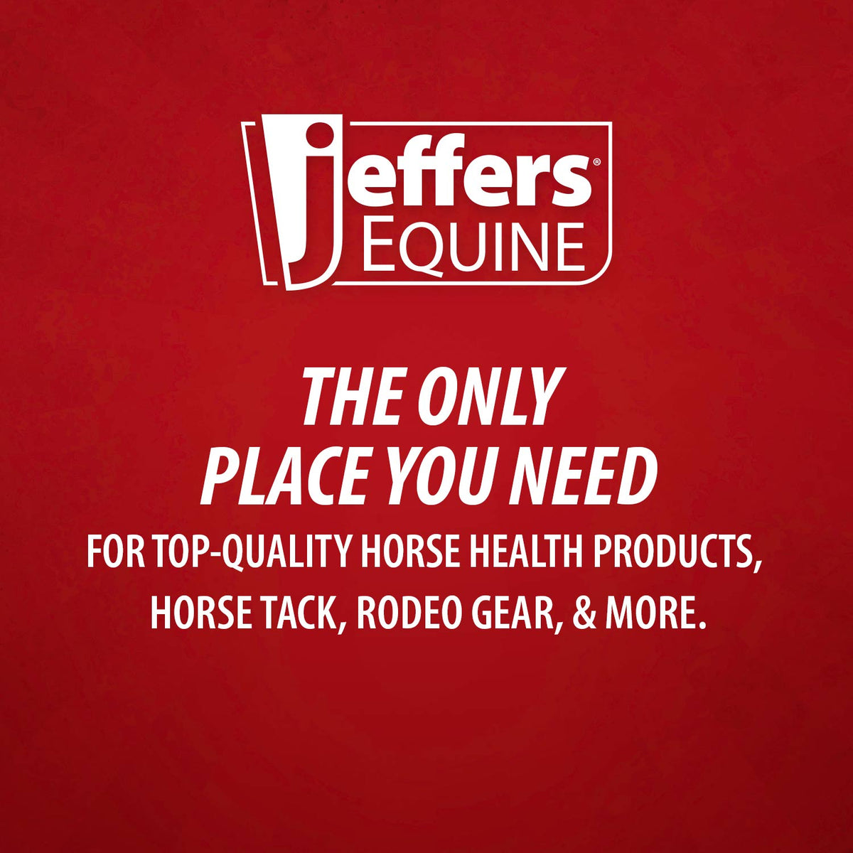 Jeffers Equine Simply Natural Horse Shampoo for Sensitive Skin
