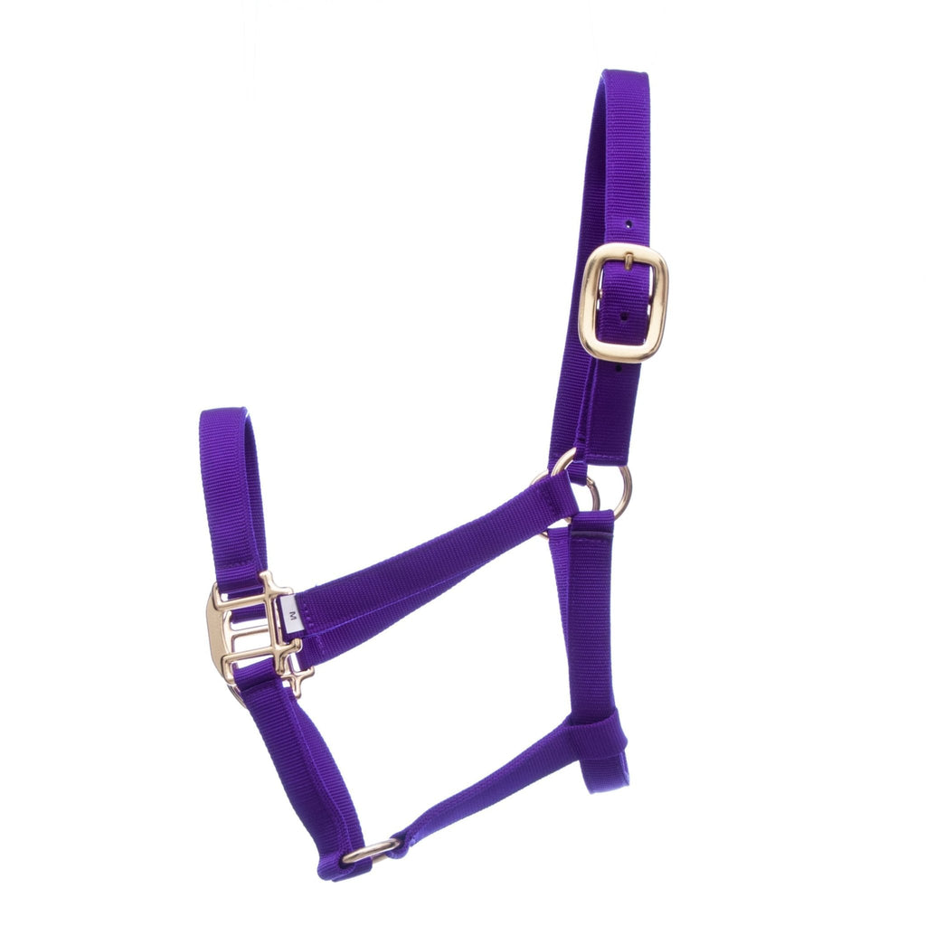 Jeffers Premium Nylon Weanling & Yearling Horse Halters, 3-Ply, 1"